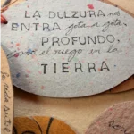 La vida sutil bajo el ala del cóndor