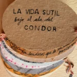 La vida sutil bajo el ala del cóndor